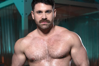 AGGRO by Raging Stallion #1